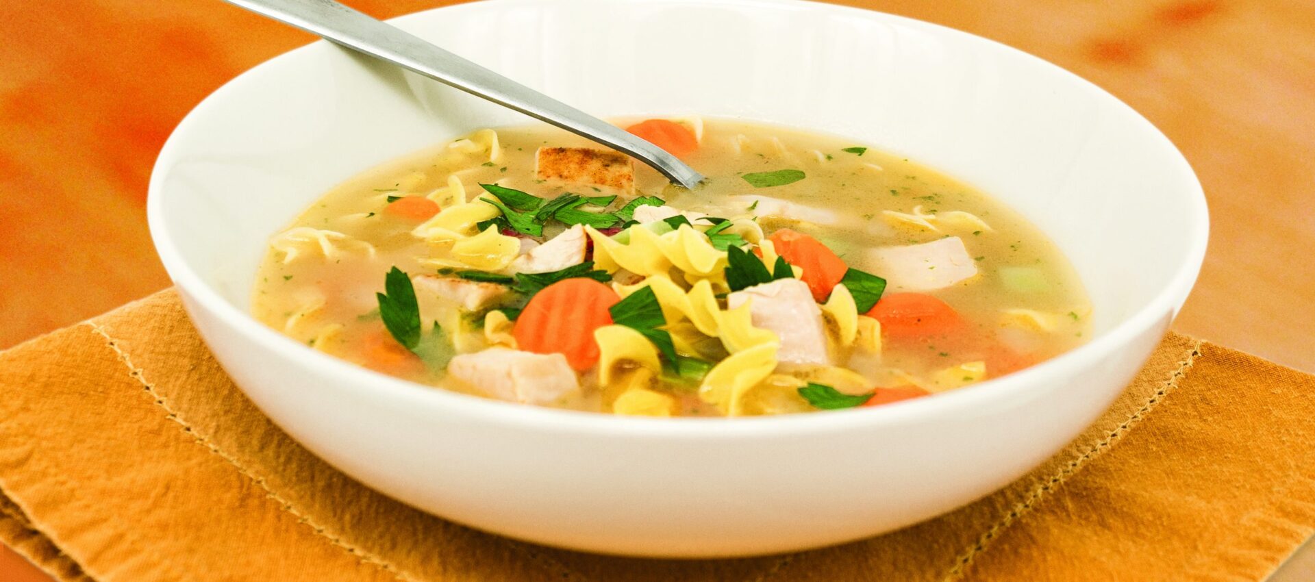 IMG_2043_V0R0_F-scaled-1920x850 Turkey Noodle Soup